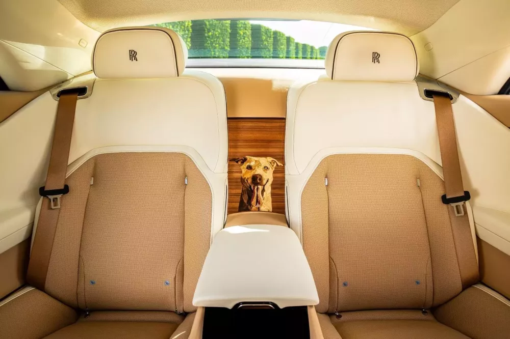 Rolls-Royce Spectre độc nhất vô nhị lấy ý tưởng từ thú cưng của 1 đại gia- Ảnh 7. Rolls-Royce Spectre độc nhất vô nhị lấy ý tưởng từ thú cưng của 1 đại gia- Ảnh 7.