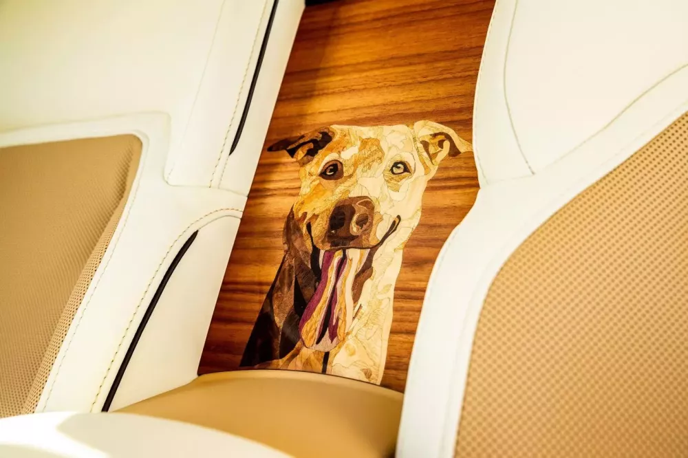 Rolls-Royce Spectre độc nhất vô nhị lấy ý tưởng từ thú cưng của 1 đại gia- Ảnh 8. Rolls-Royce Spectre độc nhất vô nhị lấy ý tưởng từ thú cưng của 1 đại gia- Ảnh 8.