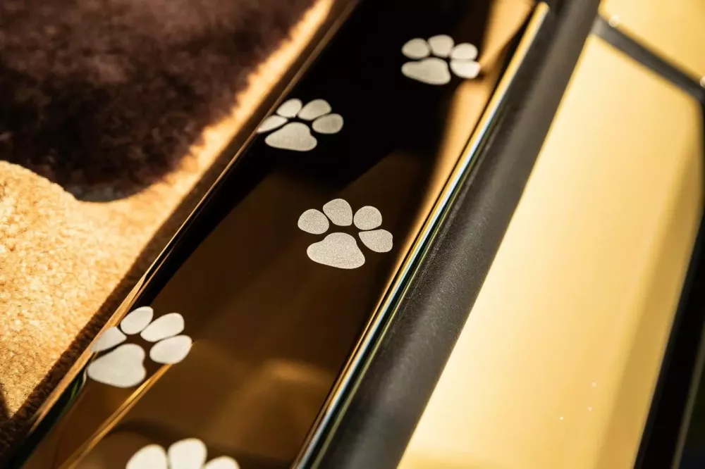 Rolls-Royce Spectre độc nhất vô nhị lấy ý tưởng từ thú cưng của 1 đại gia- Ảnh 10. Rolls-Royce Spectre độc nhất vô nhị lấy ý tưởng từ thú cưng của 1 đại gia- Ảnh 10.