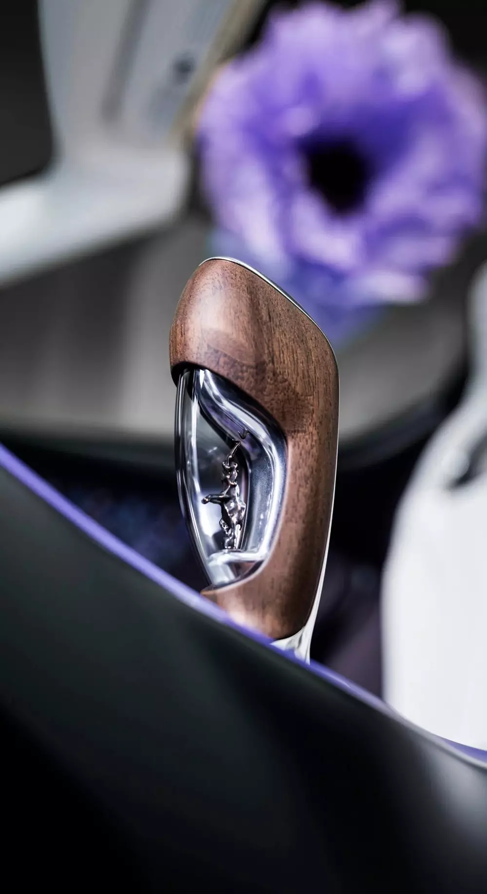 Một người cha đặt mua chiếc siêu xe Bugatti Mistral mà mọi nhà sưu tầm đều sẽ khuyên ông nên từ bỏ - Ảnh 11. Một người cha đặt mua chiếc siêu xe Bugatti Mistral mà mọi nhà sưu tầm đều sẽ khuyên ông nên từ bỏ - Ảnh 11.