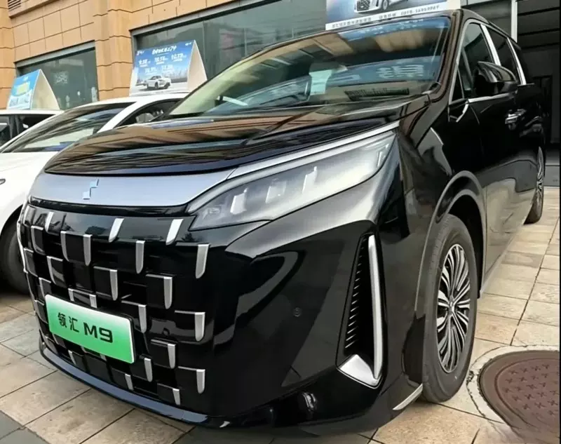 Phi&ecirc;n bản chạy dịch vụ với gi&aacute; rẻ hơn của BYD M9 cập bến đại l&yacute;, chờ ng&agrave;y b&aacute;n ra - Ảnh 5.