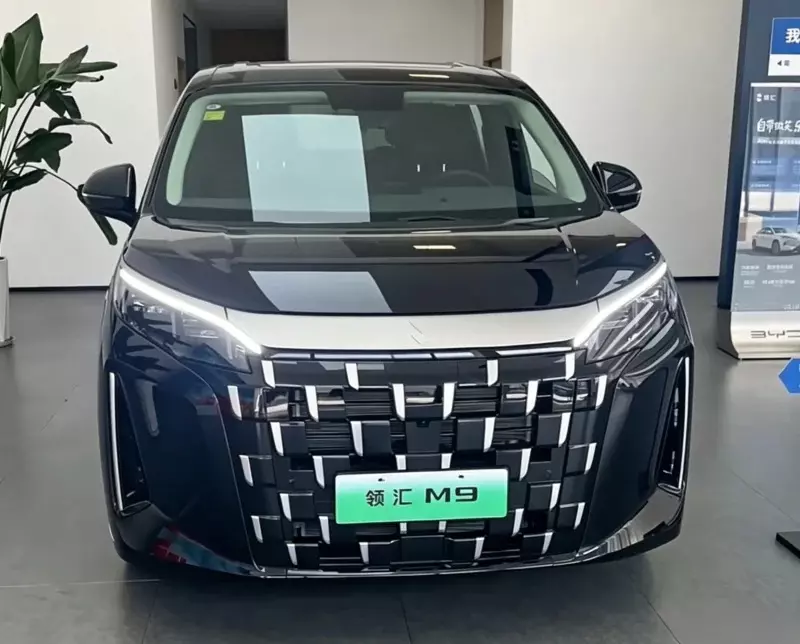 Phi&ecirc;n bản chạy dịch vụ với gi&aacute; rẻ hơn của BYD M9 cập bến đại l&yacute;, chờ ng&agrave;y b&aacute;n ra - Ảnh 2.