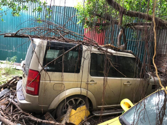 C&aacute;c rễ c&acirc;y b&aacute;m xung quanh chiếc Land Rover Discovery n&agrave;y