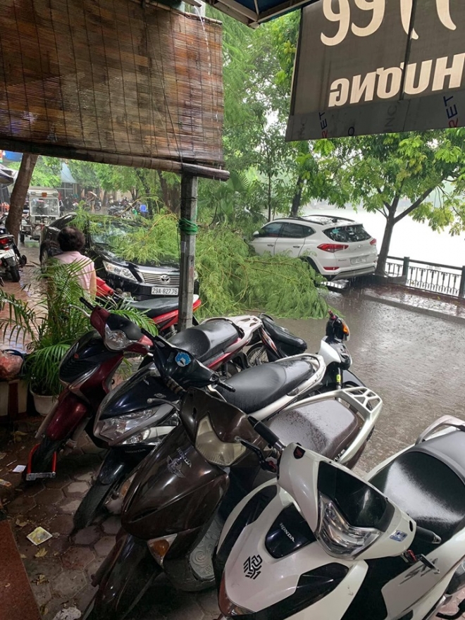 Mưa lớn khiến c&acirc;y đổ tại khu vực Hồ T&acirc;y