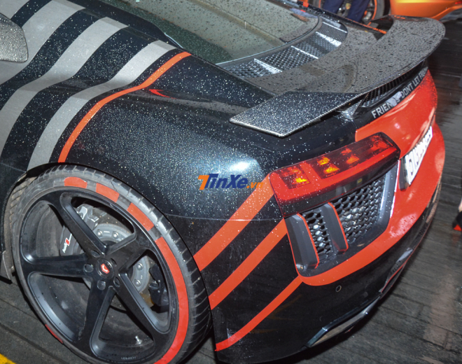 C&ugrave;ng với c&aacute;c điểm sọc phối m&agrave;u rất ấn tượng