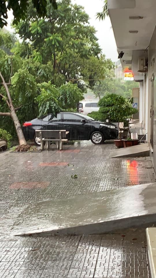 Cây đổ vào ô tô ở khu vực Văn Phú, quận Hà Đông, Hà Nội Cây đổ vào ô tô ở khu vực Văn Phú, quận Hà Đông, Hà Nội