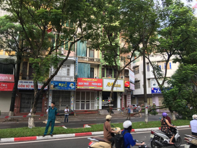 Cây phượng đổ chắn ngang đường Trần Đăng Ninh, cách thi thể của nam thanh niên khoảng 7 m