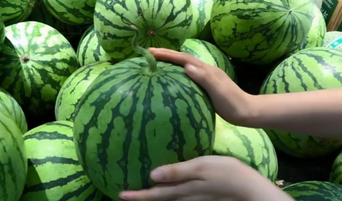 Nhờ lão nông trồng truc tiep bong da keo nha cai hấu nhắc nhở, tôi vội "mách" lại cho người nhà, kể từ đó đều mua được loại ngon "10 quả như 1"- Ảnh 5.