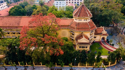 Mùa mộc miên thắp lửa gọi hè về- Ảnh 5. Mùa mộc miên thắp lửa gọi hè về- Ảnh 5.