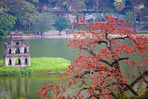 Mùa mộc miên thắp lửa gọi hè về- Ảnh 12. Mùa mộc miên thắp lửa gọi hè về- Ảnh 12.