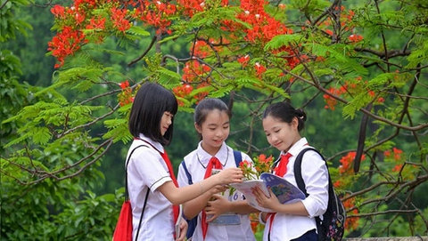 Thủ tướng chỉ đạo 3 vấn đề nóng trong giáo dục- Ảnh 1. Thủ tướng chỉ đạo 3 vấn đề nóng k+ truc tiep bong da giáo dục- Ảnh 1.