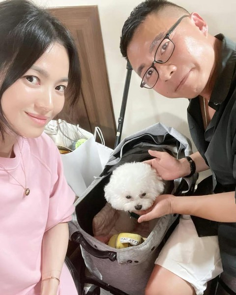 Độc thân không con cái, nhưng Song Hye Kyo lại chi gần 10 triệu đồng để mua xe đẩy cho cún cưng, ai hiểu cũng thấy thật đáng giá- Ảnh 4. Độc thân không con cái, nhưng Song Hye Kyo lại chi gần 10 triệu đồng để mua lich bong da truc tiep đẩy cho cún cưng, ai hiểu cũng thấy thật đáng giá- Ảnh 4.