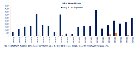 Thị trường trái phiếu tháng 4/2025: Phát hành mới giảm, Vingroup và BIDV lên kế hoạch gọi vốn lớn- Ảnh 2.