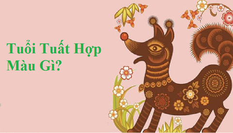 Tuổi Tuất hợp với xe màu gì? Khám phá màu sắc tốt cho người tuổi Tuất