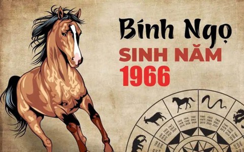 Tuổi Bính Ngọ Sinh Năm 1966: Tử Vi, Phong Thủy và Bí Quyết Thành Công