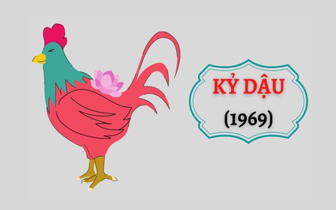 Tuổi Kỷ Dậu Sinh Năm 1969: Tử Vi, Vận Mệnh và Phong Thủy Hữu Ích Dành Cho Người Tuổi Này