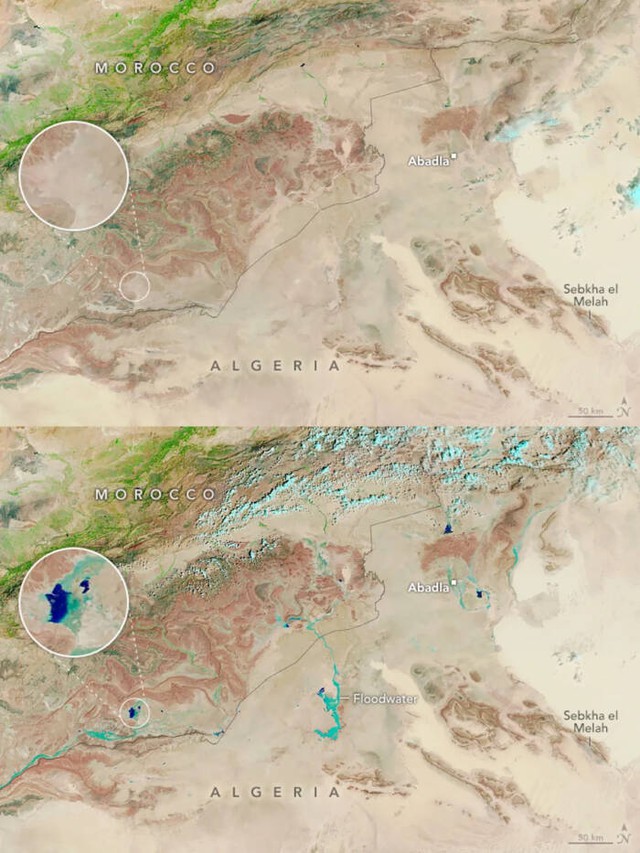 Lượng mưa lịch sử gây lũ lụt tại sa mạc Sahara: Hiện tượng vô cùng hiếm gặp này liệu có phải 'dấu hiệu' của thảm họa?- Ảnh 2.