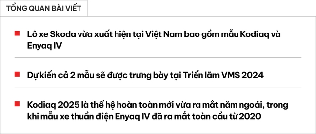 Cặp đôi Skoda mới cập cảng Việt Nam, chuẩn bị ra mắt cuối tháng: Kodiaq thay đổi lớn đấu Santa Fe, Enyaq IV chạy điện hơn 560km/sạc- Ảnh 1.