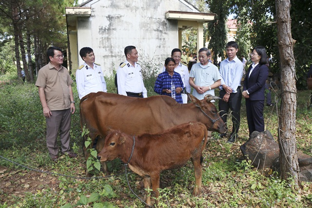 Tổng công ty Tân cảng Sài Gòn tặng sinh kế phát triển kinh tế cho hộ dân tại xã Ia Grăng, huyện Ia Grai, tỉnh Gia Lai.