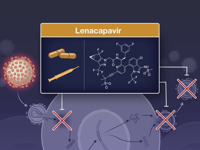 Số ca nhiễm mới HIV trên toàn cầu đã giảm tới mức thấp kỷ lục: Nhưng tại sao đó không phải là tin vui?- Ảnh 4. Số ca nhiễm mới HIV trên toàn cầu đã giảm tới mức thấp kỷ lục: Nhưng tại sao đó không phải là tin vui?- Ảnh 4.