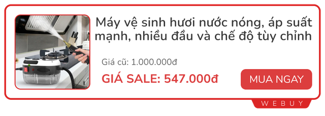 Máy làm sạch bằng hơi nước có đáng giá từng đồng như mọi người ca ngợi?- Ảnh 7.