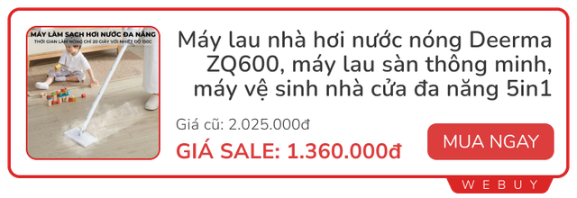 Máy làm sạch bằng hơi nước có đáng giá từng đồng như mọi người ca ngợi?- Ảnh 5.