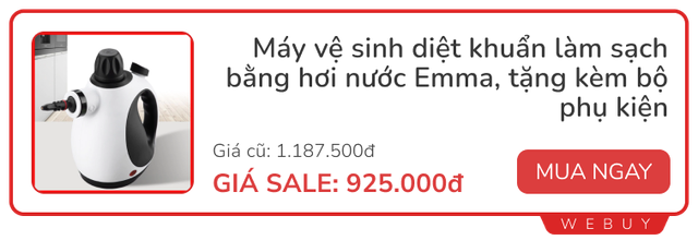 Máy làm sạch bằng hơi nước có đáng giá từng đồng như mọi người ca ngợi?- Ảnh 6.