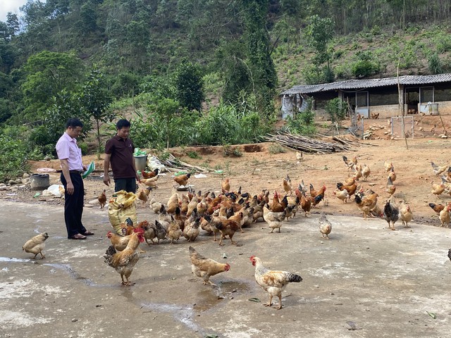Huyện Tiên Yên: Chương trình tín dụng cho vay phát triển sản xuất giải ngân đạt doanh số cao nhất trong năm 2024- Ảnh 2.