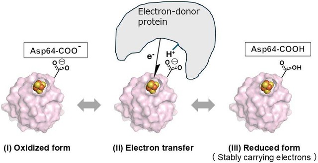 Khám phá ra công tắc nano: Bước đột phá cho cảm biến và y học- Ảnh 3.