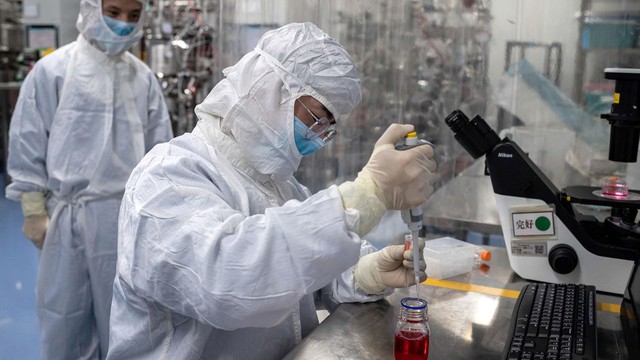 Thí nghiệm cho thấy virus COVID có thể thu nhỏ khối u của 4 loại ung thư giai đoạn cuối- Ảnh 5. Thí nghiệm cho thấy virus COVID có thể thu nhỏ khối u của 4 loại ung thư giai đoạn cuối- Ảnh 5.
