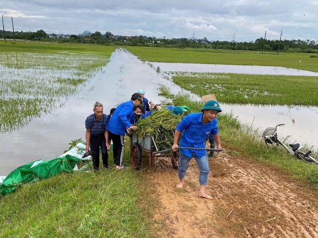 Tuổi trẻ Đất Tổ đồng hành cùng người dân vượt qua bão lũ- Ảnh 12.