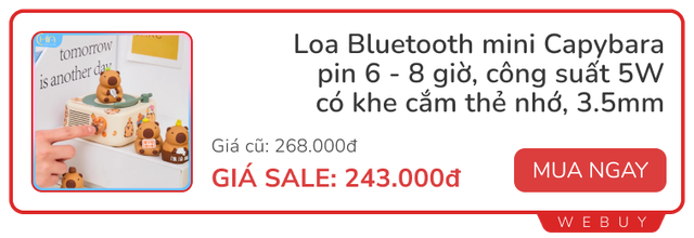 Sale giữa tháng: Tai nghe có màn hình cảm ứng Hoco 319.000đ, Smarttag chuẩn Apple 169.000đ, loa Capybara 241.000đ...- Ảnh 8.