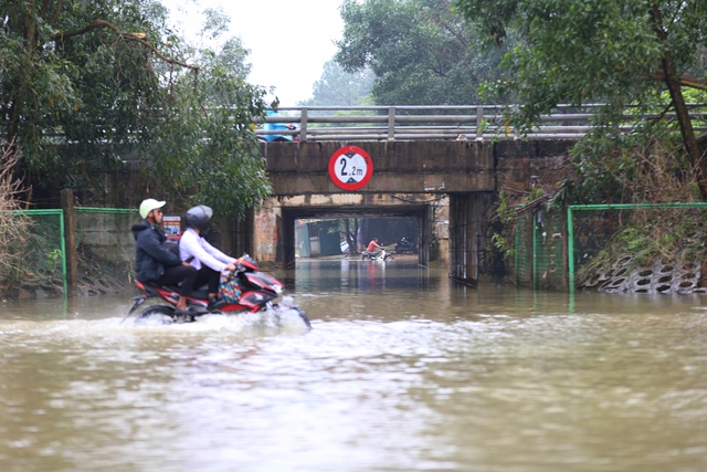 Hà Nội: Ngập sâu trên đại lộ Thăng Long, người dân phải bỏ 50.000 đồng thuê xe bò vượt qua- Ảnh 16.