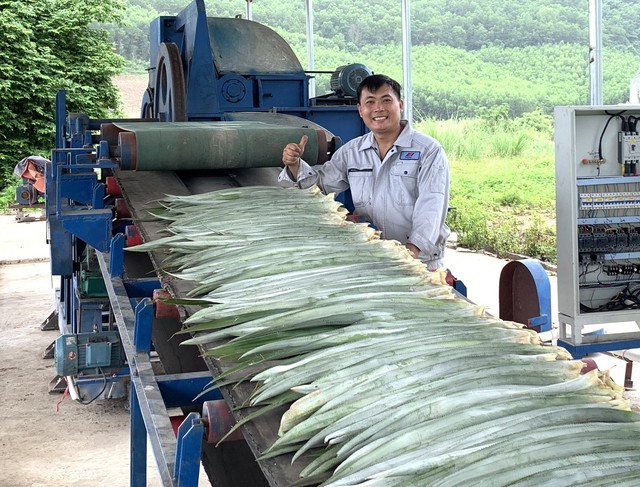 Lần đầu tiên: Sản xuất vải từ lá dứa quy mô lớn, cung cấp đại trà, biến 1 triệu tấn lá dứa thành 18 tấn tơ, vải sinh thái mỗi tháng, dự kiến sản lượng sẽ tăng lên 50 tấn/tháng vào cuối 2025- Ảnh 1.