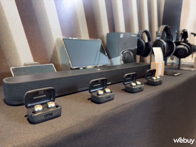 Sennheiser ra mắt MOMENTUM True Wireless 4 Gold Edition tại Việt Nam- Ảnh 1. Sennheiser ra mắt MOMENTUM True Wireless 4 Gold Edition tại Việt Nam- Ảnh 1.