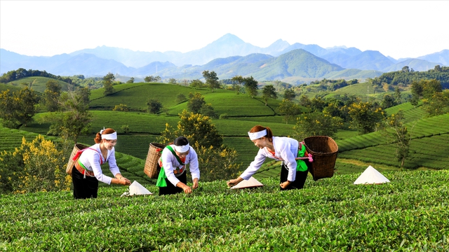 Xây dựng tỉnh Phú Thọ trở thành một trong những trung tâm công nghiệp, dịch vụ, logistics, du lịch cả nước- Ảnh 4.