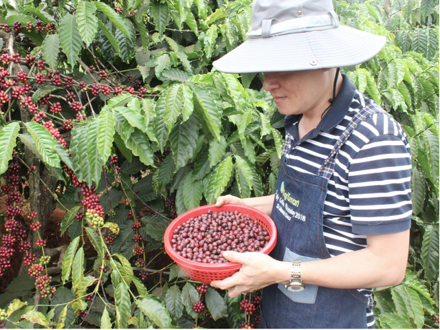 WIMI – Hành trình nâng tầm trải nghiệm cà phê và trà từ khát vọng xứ Nghệ- Ảnh 4. WIMI – Hành trình nâng tầm trải nghiệm cà phê và trà từ khát vọng xứ Nghệ- Ảnh 4.