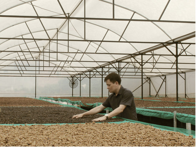 WIMI – Hành trình nâng tầm trải nghiệm cà phê và trà từ khát vọng xứ Nghệ- Ảnh 3. WIMI – Hành trình nâng tầm trải nghiệm cà phê và trà từ khát vọng xứ Nghệ- Ảnh 3.