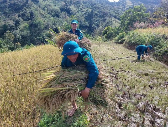 Tuổi trẻ Đà Nẵng ra quân làm nhiệm vụ ứng phó bão số 12- Ảnh 2. Tuổi trẻ Đà Nẵng ra quân làm nhiệm vụ ứng phó bão số 12- Ảnh 2.