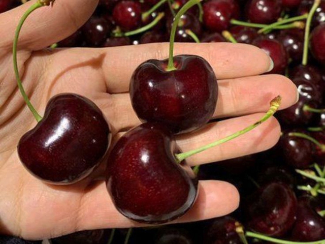 Ngỡ ngàng với 7 loại trái cây giàu protein và chất chống oxy hóa: Cứu tinh khi giảm cân, "chống già"- Ảnh 2.