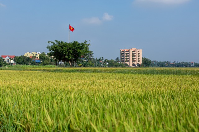 Theo chân Tóc Tiên về Hội An: Ở chỗ này thơm mùi lúa, yên bình tới mức chỉ muốn ở mãi không về- Ảnh 7. Theo chân Tóc Tiên về Hội An: Ở chỗ này thơm mùi lúa, yên bình tới mức chỉ muốn ở mãi không về- Ảnh 7.