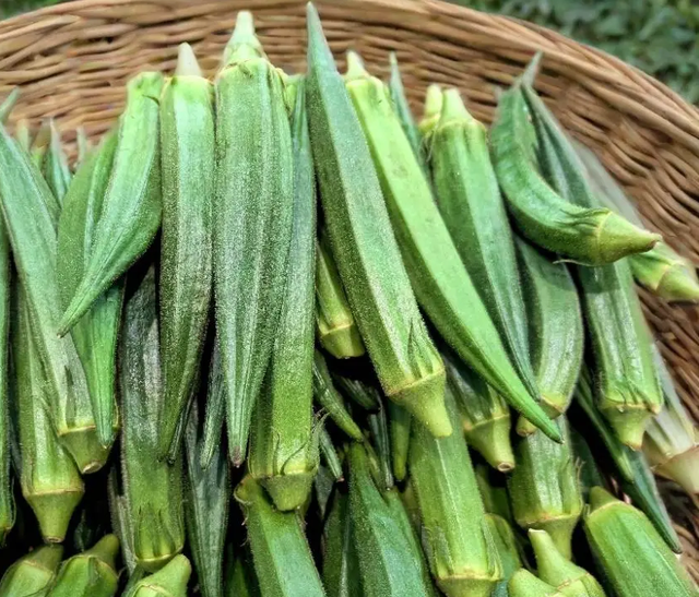 Đi chợ tháng 10, người thông minh chỉ mua 5 loại rau này, vừa không thuốc trừ sâu vừa rẻ- Ảnh 1.