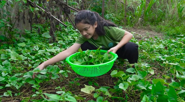Nữ diễn viên miền Nam nổi đình đám bật khóc, quỳ gối xin tiền từ thiện- Ảnh 1. Nữ diễn viên miền Nam nổi đình đám bật khóc, quỳ gối xin tiền từ thiện- Ảnh 1.