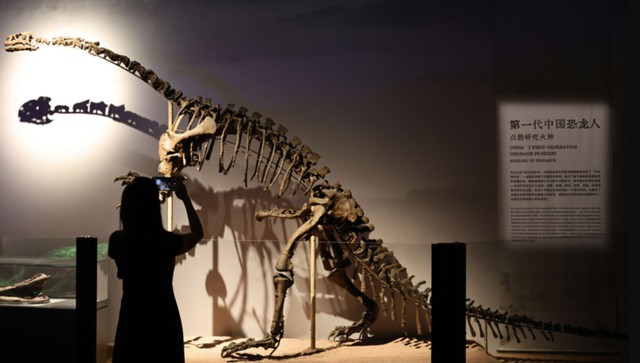 Khủng long có thể sẽ được hồi sinh- Ảnh 2.