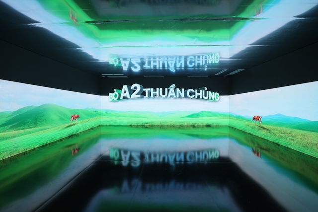 Loại sữa hiếm chỉ chiếm 0.014% tổng sản lượng sữa bò toàn cầu- Ảnh 3.