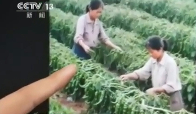 “Hồi sinh” người chết dậy bán trà, nhà vô địch Olympic đi bán trứng gà: "Đứa con" của AI gây phẫn nộ- Ảnh 7.