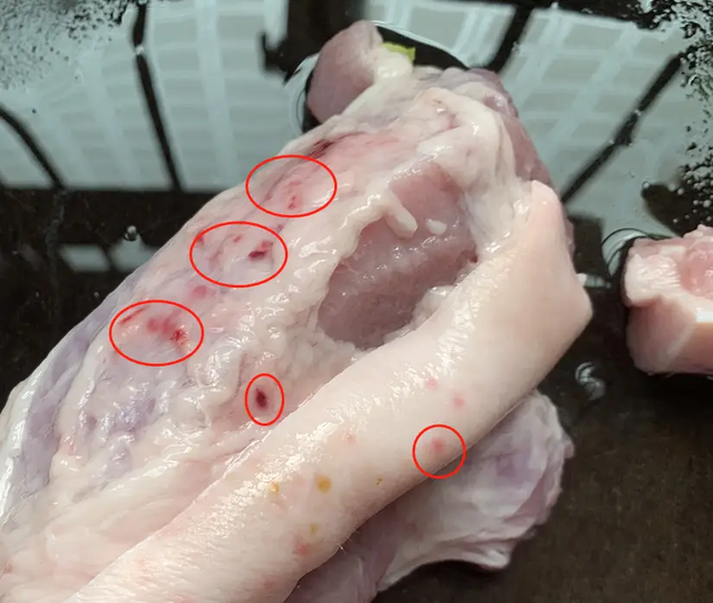 4 loại thịt đ&aacute;ng lẽ phải BỊ CẤM từ l&acirc;u, vậy m&agrave; nhiều người vẫn ăn- Ảnh 3.