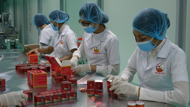 Công nhân làm việc tại dây chuyền chế biến các sản phẩm Trà táo mèo, Dầu Quốc kỳ,.. từ các nông sản sẵn có tại địa phương.