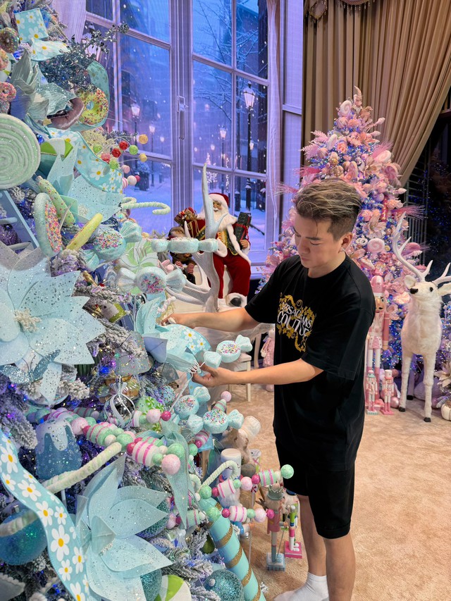 Đàm Vĩnh Hưng bán biệt thự trăm tỷ ở TP.HCM- Ảnh 3. Đàm Vĩnh Hưng bán biệt thự trăm tỷ ở TP.HCM- Ảnh 3.