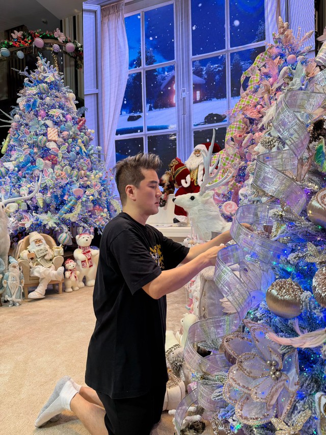 Đàm Vĩnh Hưng bán biệt thự trăm tỷ ở TP.HCM- Ảnh 5. Đàm Vĩnh Hưng bán biệt thự trăm tỷ ở TP.HCM- Ảnh 5.